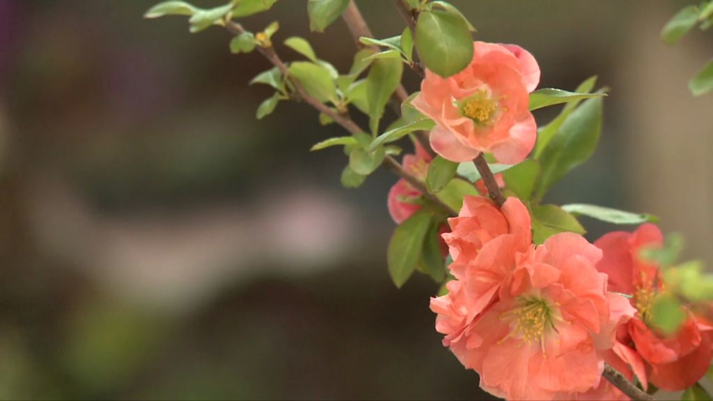 [통일현장] 꽃처럼 만나는 통일 ′평화통일교육 전시관′