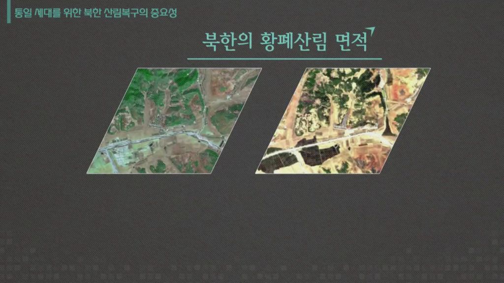 [미디어 통일] 통일 세대를 위한 북한 산림복구의 중요성 