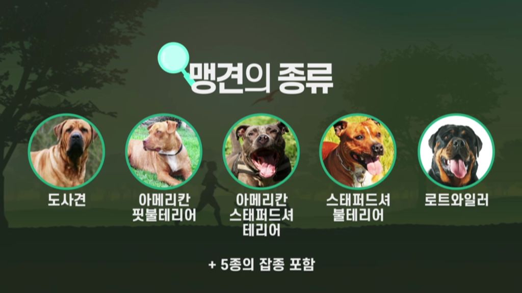 농림축산식품부- 맹견소유자¸ 매년 3시간 이상 교육이수 의무 (2019년 9월 홍보영상)